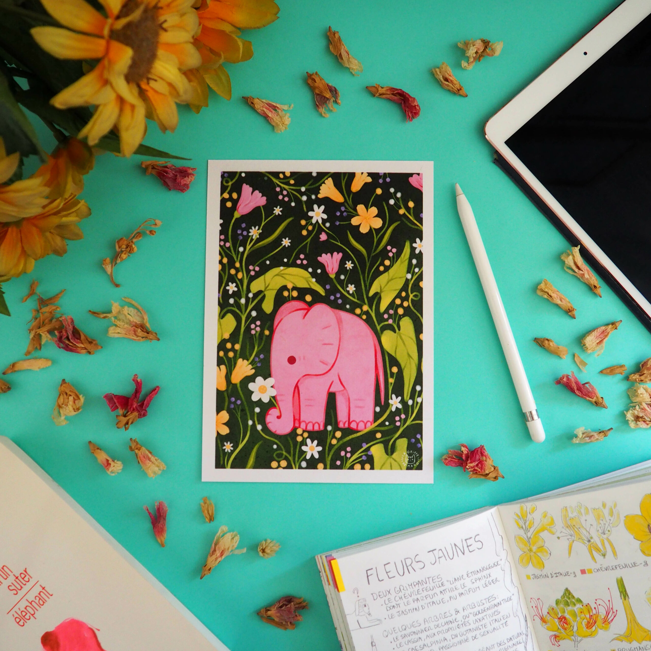 Print – Le Petit Éléphant Rose – @lagriffedemaho 2023