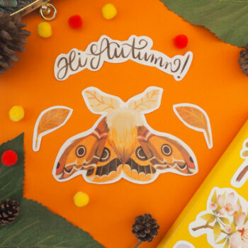 Pack de stickers géants - Papillon de nuit